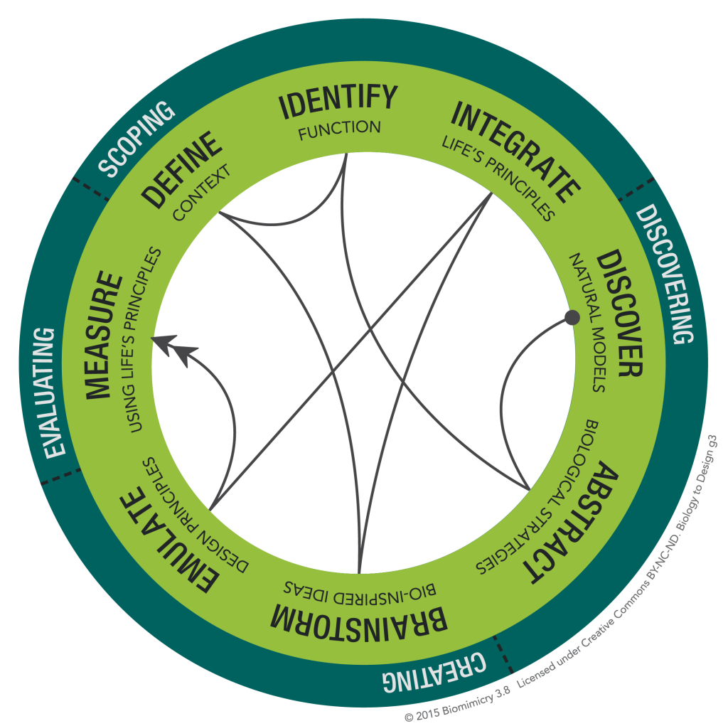 DesignLens: Biomimicry Thinking - Biomimicry 3.8