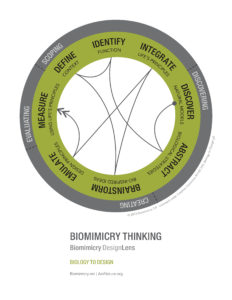 designlens_biology_to_design_web
