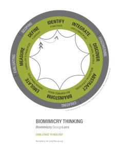 designlens_challenge_to_biology_web