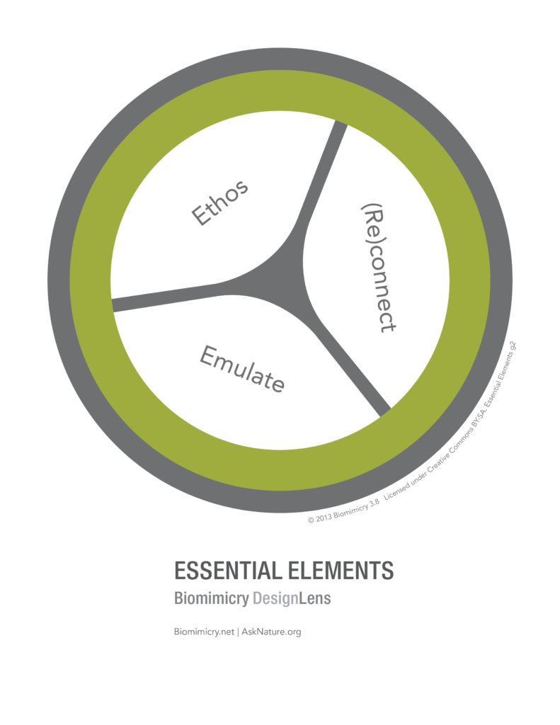 designlens_essential_elements_web