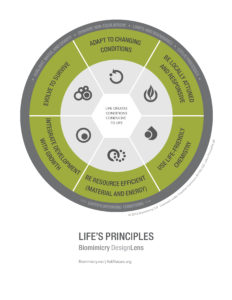 designlens_lifes_principles_top6_web