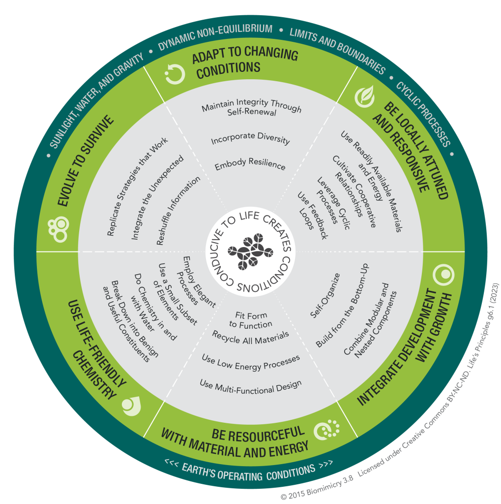 iSites: Nature Journaling for Biomimicry - Biomimicry 3.8