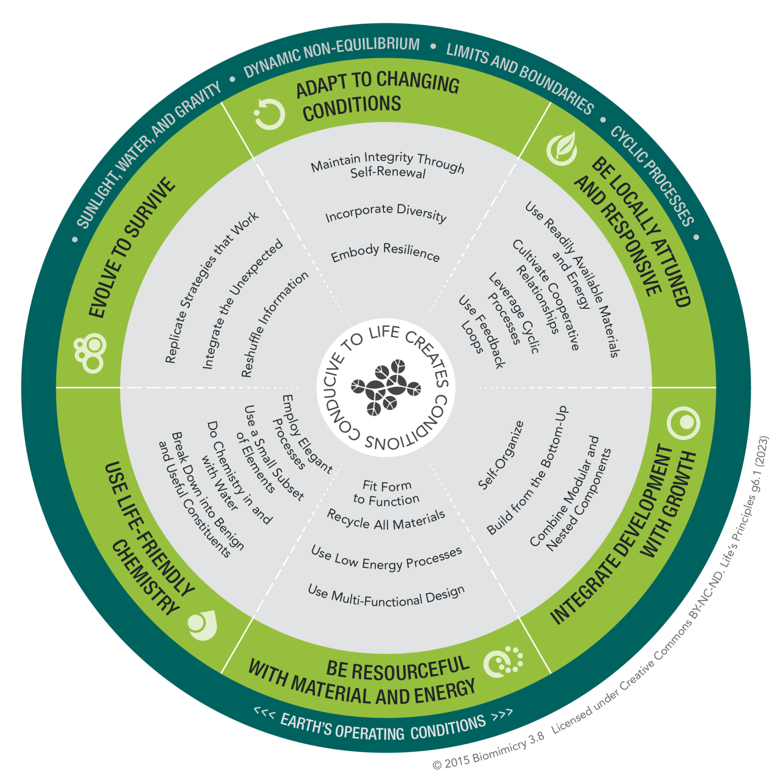 DesignLens: Life's Principles - Biomimicry 3.8