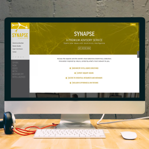 synapse-shop-image_screen