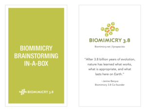 The Biomimicry Innovation Toolkit is designed to help facilitate a creative exploration into sustainable packaging design solutions